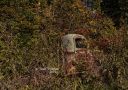 2L0A7025-tp-cw-res.jpg