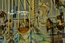 IMG_7729-tp-cw-res.jpg