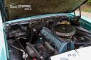 IMG_9938-tp-cw-res.jpg