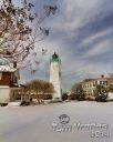 IMG_1364-crp-t-c-r.jpg